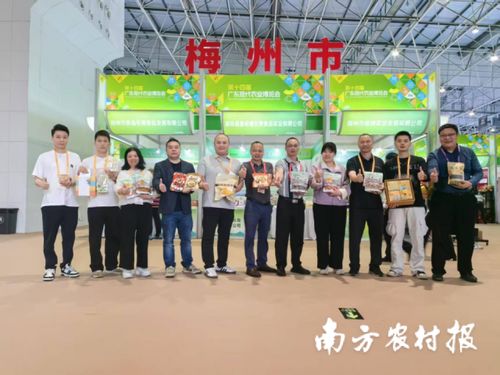 智創未來，AI賦能 蕉嶺毛竹品牌煥新，實業公司引領產業升級